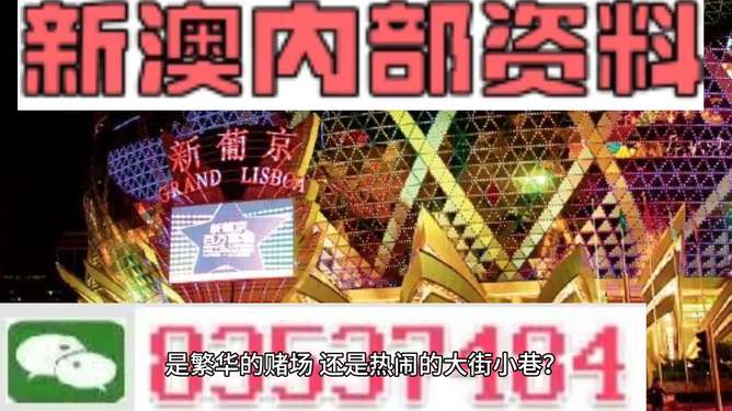 新澳門精準(zhǔn)資料大全管家婆料，探索與解析，澳門精準(zhǔn)資料大全解析，探索管家婆料內(nèi)幕