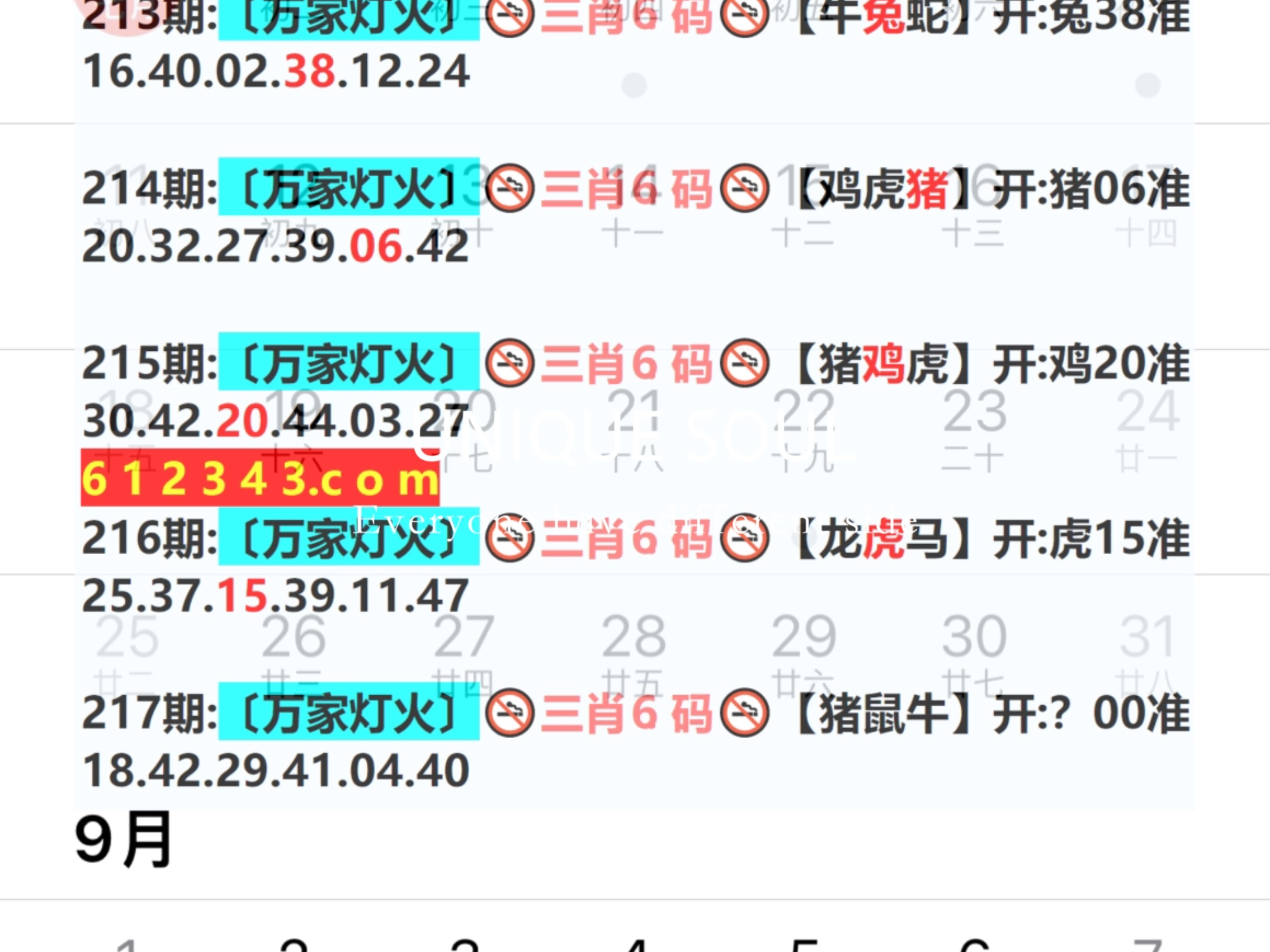 新奧今日六肖中特，揭秘背后的秘密與趨勢分析，揭秘新奧今日六肖中特背后的秘密與趨勢分析