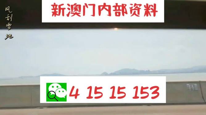 新澳2025最新資料生肖，深度解析與預(yù)測展望，新澳2025最新生肖資料深度解析與未來預(yù)測展望