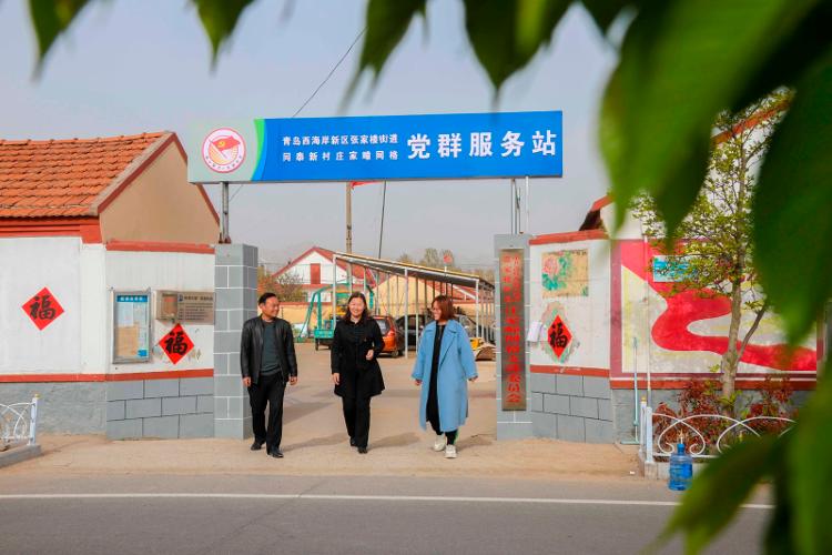 2025新澳天天開彩大全——衣冠群獸探秘，2025新澳天天開彩大全，衣冠群獸探秘之旅