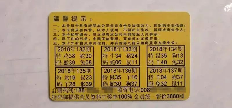 香港中特期期準資料，深度解析與探索，香港中特期期準資料深度解析與探索報告