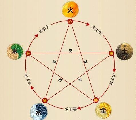 鐵算算盤4887最準(zhǔn)資料，揭秘其背后的秘密與優(yōu)勢，揭秘鐵算算盤4887，最準(zhǔn)資料背后的秘密與優(yōu)勢