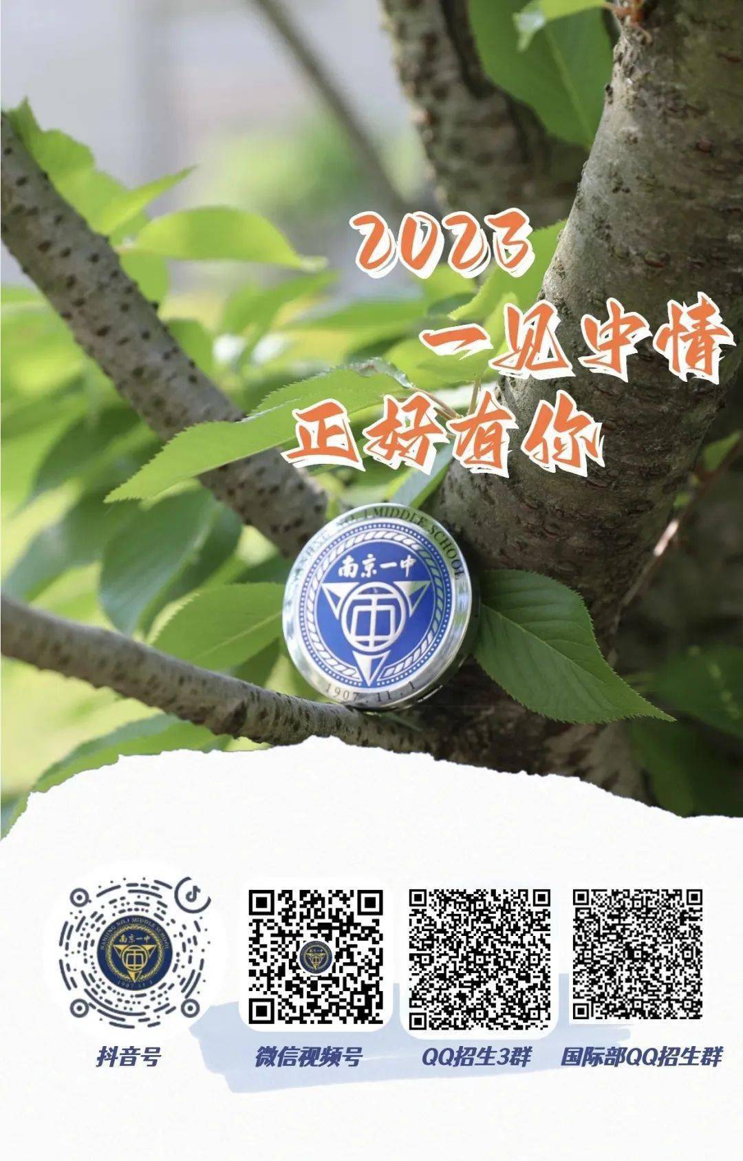 一碼一肖一特一中，揭秘背后的秘密與奧秘，揭秘一碼一肖一特一中背后的秘密奧秘