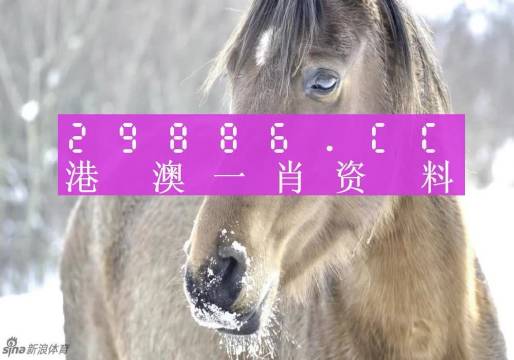 澳門(mén)一肖一碼，揭秘一個(gè)關(guān)于精準(zhǔn)預(yù)測(cè)背后的故事，澳門(mén)一肖一碼揭秘，精準(zhǔn)預(yù)測(cè)背后的神秘故事