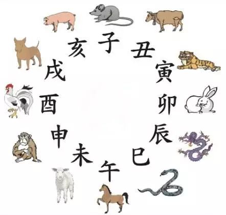 澳門天天彩期期精準(zhǔn)十二生肖預(yù)測(cè)——揭秘彩票秘密，澳門天天彩期期精準(zhǔn)十二生肖預(yù)測(cè)，揭秘彩票秘密之獨(dú)家解析