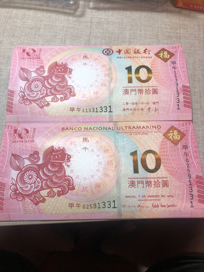 揭秘明天澳門必中生肖的神秘面紗，揭秘明天澳門必中生肖的神秘秘密