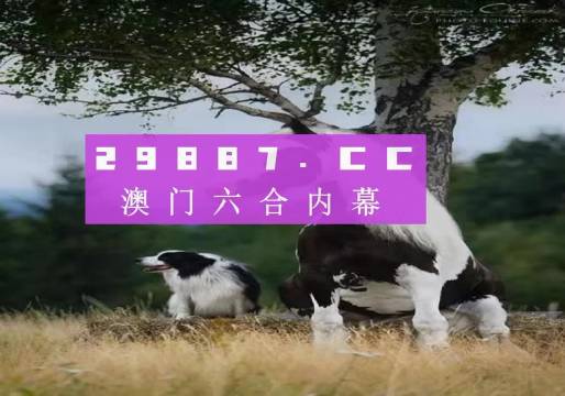 揭秘7777788888精準新跑狗——全方位解讀與體驗，揭秘精準新跑狗，全方位解讀與體驗7777788888跑狗秘籍