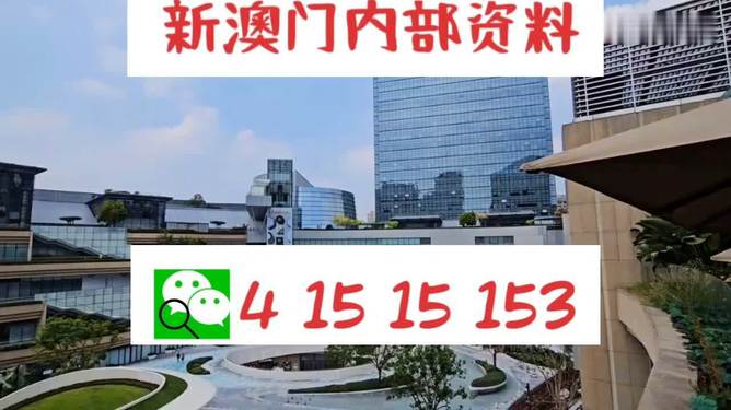 芳草地2025澳門(mén)資料，探索未來(lái)的奧秘，探索澳門(mén)未來(lái)奧秘，芳草地資料揭示的藍(lán)圖 2025年展望