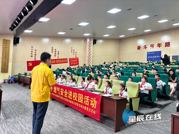 新奧正版資料的SEO優(yōu)化文章，新奧正版資料的SEO優(yōu)化指南