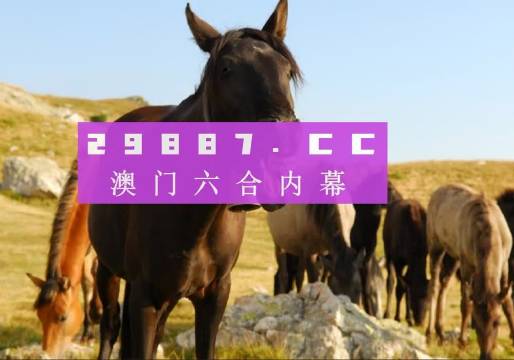 澳門管家婆一肖中特與香港阿飛免費(fèi)印刷圖庫的獨特魅力 —— 2024澳門天天開好彩大全探索，澳門管家婆與香港阿飛圖庫魅力探索，2024澳門天天彩好彩大全揭秘