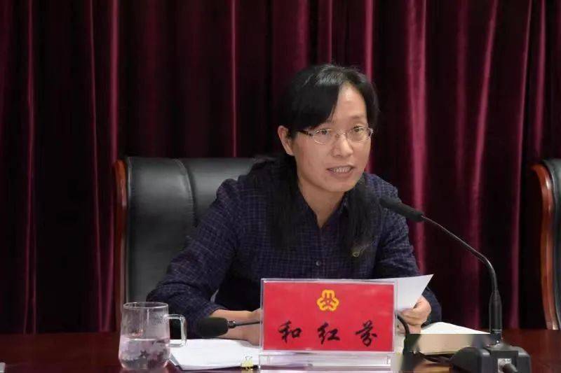 二四六香港期期中的資料解析與SEO優(yōu)化策略，香港期期二四六資料解析與SEO優(yōu)化策略探討