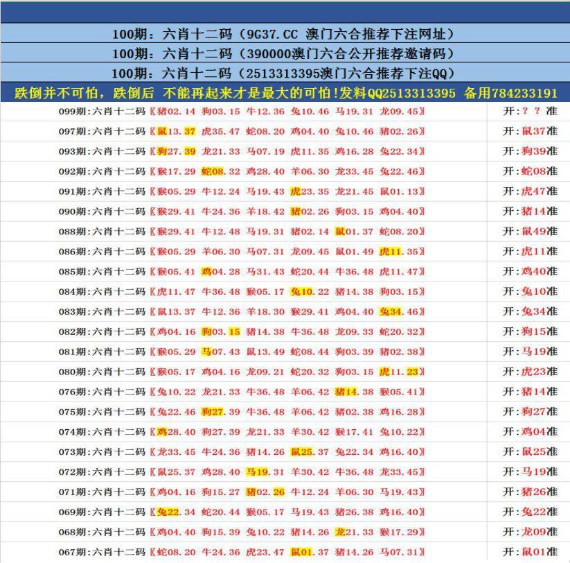 澳門無錯九肖今日搜狗，探索與解析，澳門無錯九肖今日搜狗，深度解析與探索