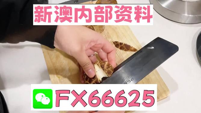 澳門九點(diǎn)半9點(diǎn)半網(wǎng)站——探索其魅力與優(yōu)勢(shì)，澳門九點(diǎn)半網(wǎng)站，魅力與優(yōu)勢(shì)探索