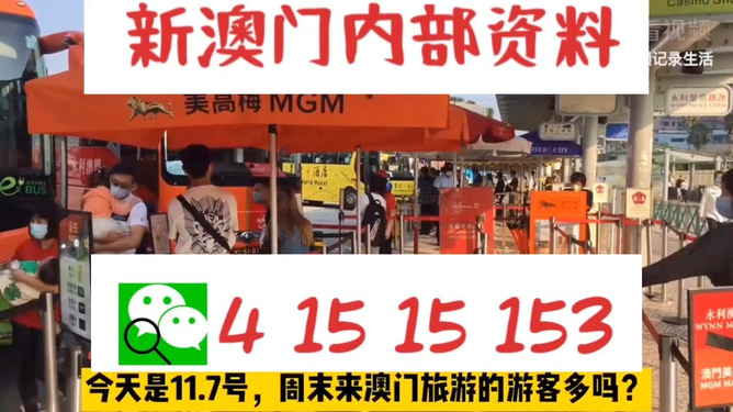 新澳今晚上9點(diǎn)30開(kāi)獎(jiǎng)直播視頻——全方位解讀與體驗(yàn)，新澳今晚9點(diǎn)30開(kāi)獎(jiǎng)直播全方位解讀與體驗(yàn)獨(dú)家呈現(xiàn)