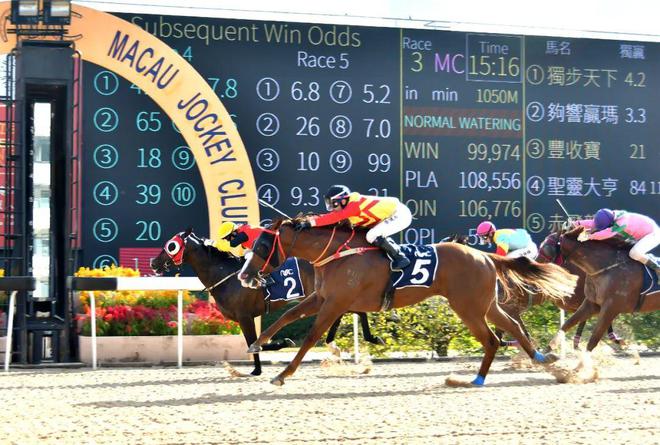 澳門馬免費(fèi)料期期公開，探索背后的真相與秘密，澳門馬免費(fèi)料期期公開背后的真相與秘密探索