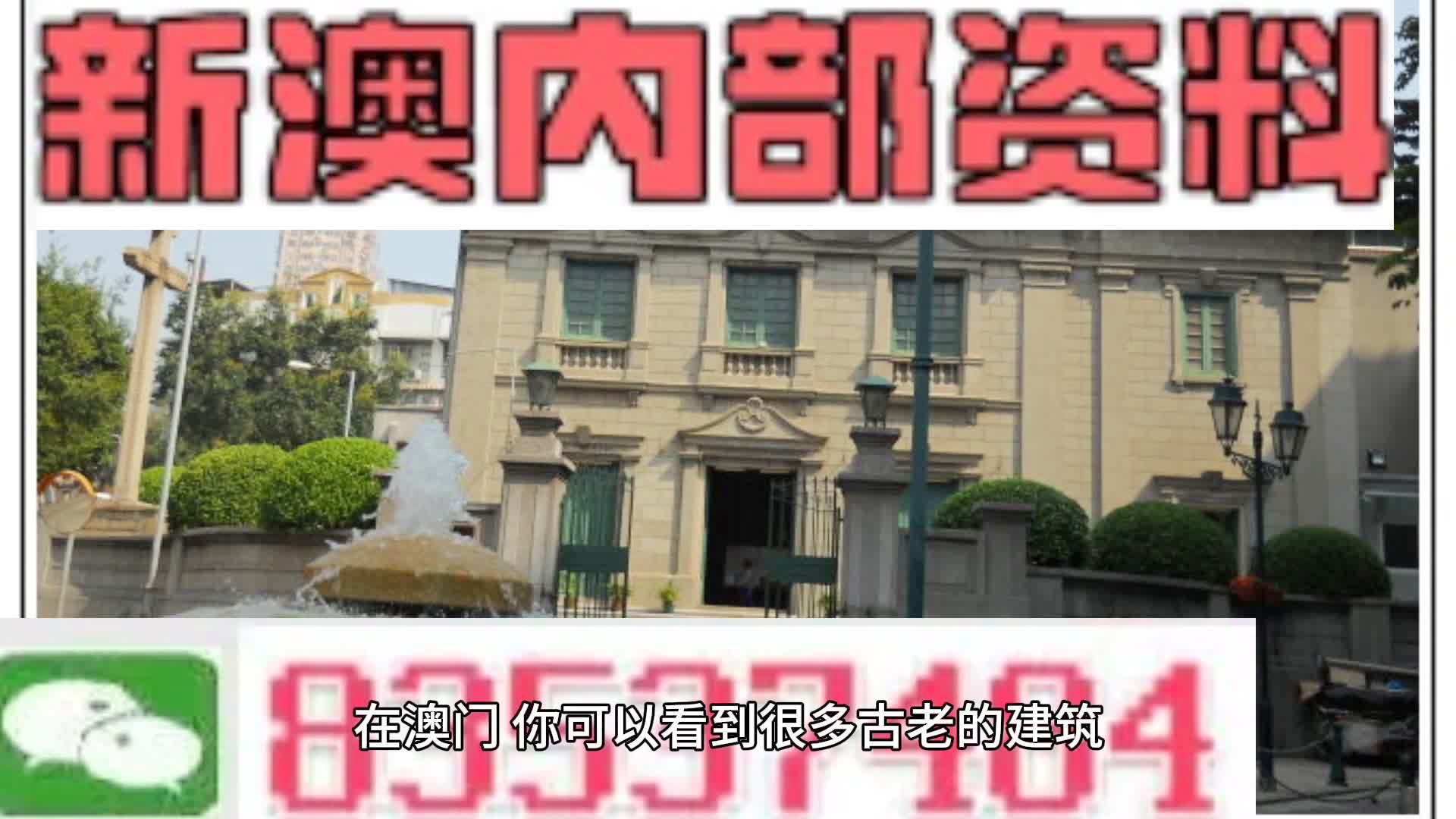 新門內(nèi)部資料大全更新，掌握最新資源，引領(lǐng)行業(yè)前沿，新門內(nèi)部資料更新引領(lǐng)行業(yè)前沿掌握最新資源大全