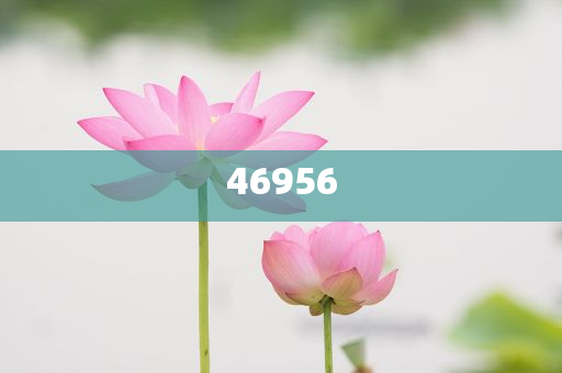 新奧集團，邁向2025，天天開好彩的愿景與挑戰(zhàn)，新奧集團邁向2025，實現(xiàn)天天開好彩的愿景與挑戰(zhàn)