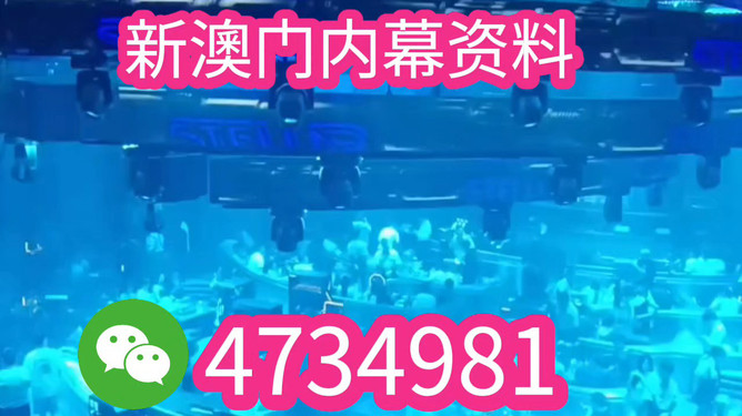 揭秘未來(lái)之星，2025新澳王中王，揭秘未來(lái)之星，2025新澳王中王風(fēng)采展示