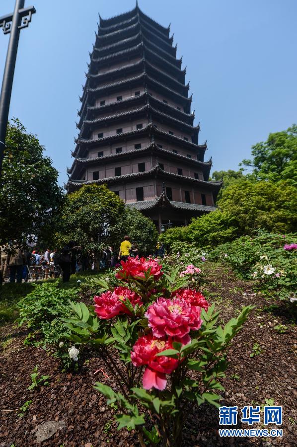 六和彩開碼資料網(wǎng)——探索彩票世界的門戶，六和彩開碼資料網(wǎng)，彩票世界探索之門
