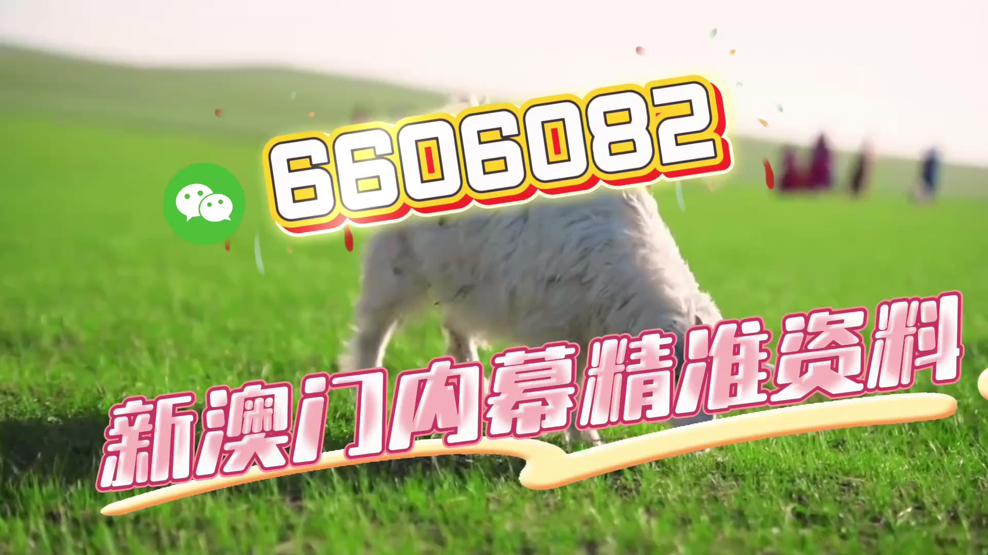 澳門今晚必開一肖一特，揭秘生肖彩票的魅力與預(yù)測技巧，澳門生肖彩票預(yù)測揭秘，一肖一特魅力與預(yù)測技巧探討