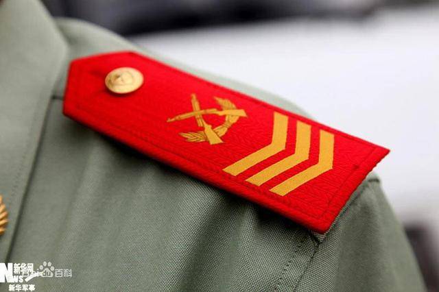 解析軍士長與士官長的差異，職責、權利及地位的對比，解析軍士長與士官長的職責、權利與地位差異對比