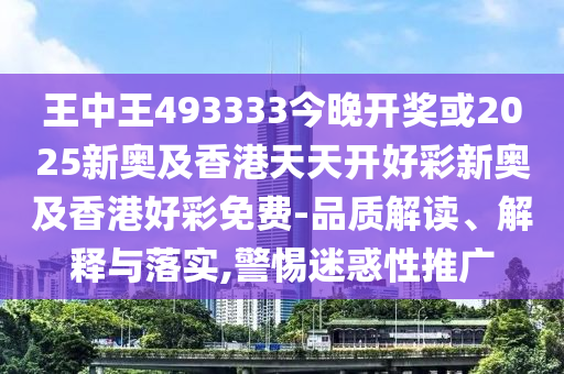 王中王493333中特大全，深度解析與SEO優(yōu)化策略，王中王493333中特大全，深度解析與SEO優(yōu)化策略指南