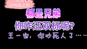 一肖二肖是什么意思——深度解析中國民俗中的生肖文化，深度解析中國民俗中的生肖文化，一肖二肖的含義與故事